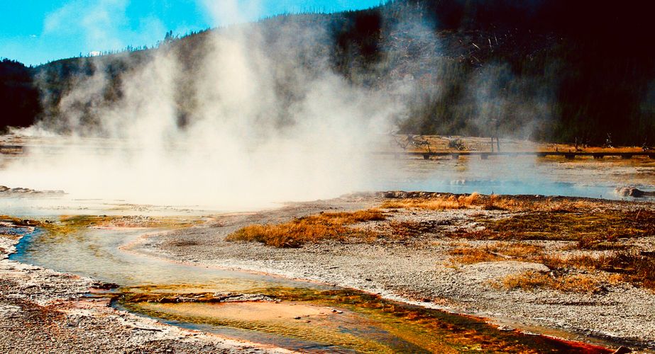 Wild USA Nieuw 9 Wild USA Nieuw 9